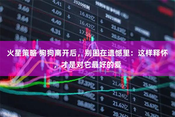 火星策略 狗狗离开后，别困在遗憾里：这样释怀，才是对它最好的爱