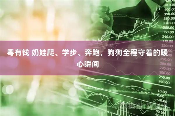 粤有钱 奶娃爬、学步、奔跑，狗狗全程守着的暖心瞬间