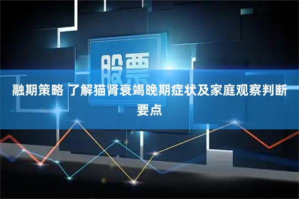 融期策略 了解猫肾衰竭晚期症状及家庭观察判断要点