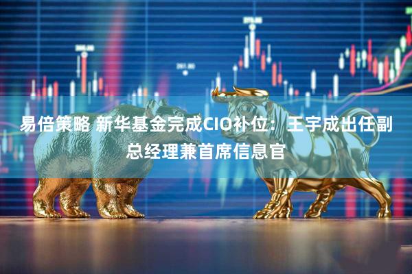易倍策略 新华基金完成CIO补位：王宇成出任副总经理兼首席信息官