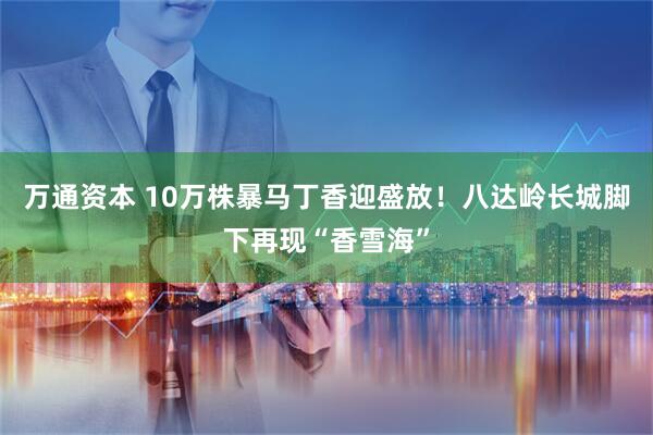 万通资本 10万株暴马丁香迎盛放！八达岭长城脚下再现“香雪海”